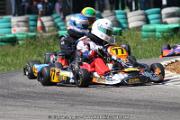 20110501_ales_agnus (3196)